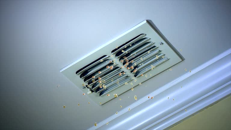 Best Residential Air Duct Cleaning  in Middlebush, NJ