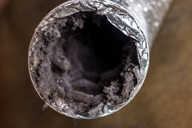 Best HVAC Maintenance and Cleaning  in Middlebush, NJ